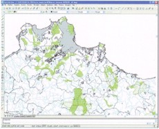 Digital Maps