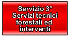 Servizio 3° - Servizi tecnici forestali ed interventi