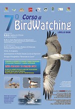 7 corso birdwatching