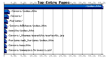 Top Entry Pages Graph