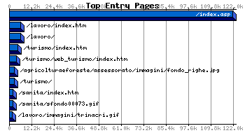 Top Entry Pages Graph