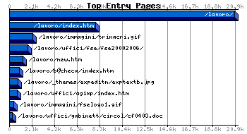 Top Entry Pages Graph